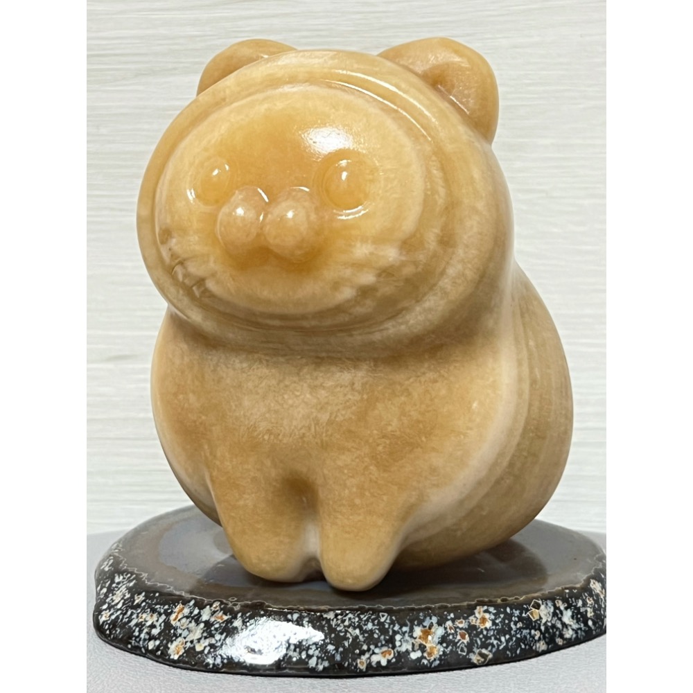 。海豹貓。佘太翠 糖料。🌸-細節圖2