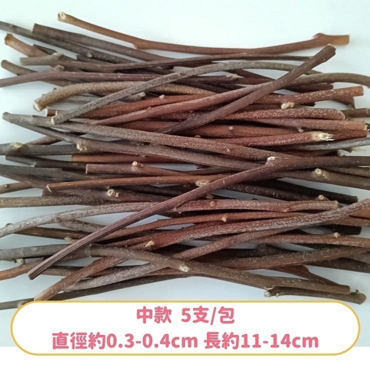 蜜袋鼯的最愛 天然桉樹枝 台灣種植 自採自曬 檸檬桉樹枝 香氣濃 尤加利木枝 檸檬尤加利 啃木 磨牙棒 寵物玩具 裝飾-規格圖4