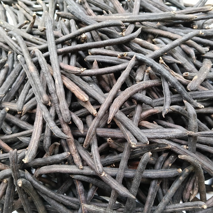 台灣油綠豆 真得煮的爛 自產自銷 台灣種植 自然農法 本土綠豆 易煮 綿密鬆軟 油綠豆 台灣綠豆 綠豆粥 綠豆湯 綠豆餡-細節圖6