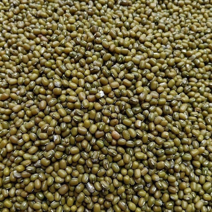 台灣油綠豆 真得煮的爛 自產自銷 台灣種植 自然農法 本土綠豆 易煮 綿密鬆軟 油綠豆 台灣綠豆 綠豆粥 綠豆湯 綠豆餡-細節圖8