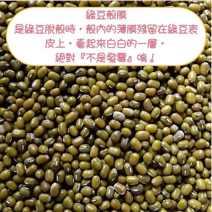 台灣油綠豆 真得煮的爛 自產自銷 台灣種植 自然農法 本土綠豆 易煮 綿密鬆軟 油綠豆 台灣綠豆 綠豆粥 綠豆湯 綠豆餡-細節圖9
