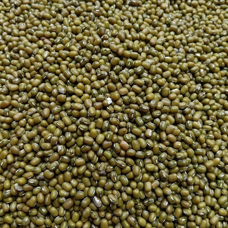 台灣油綠豆 真得煮的爛 自產自銷 台灣種植 自然農法 本土綠豆 易煮 綿密鬆軟 油綠豆 台灣綠豆 綠豆粥 綠豆湯 綠豆餡-細節圖8