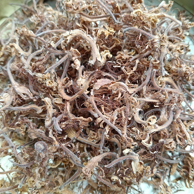 金銀花 忍冬 台灣種植 自採自曬 自然農法 金銀花茶 忍冬茶 退火降燥 乾燥金銀花 花草茶 泡茶 降火 草本茶 植物花草-細節圖6