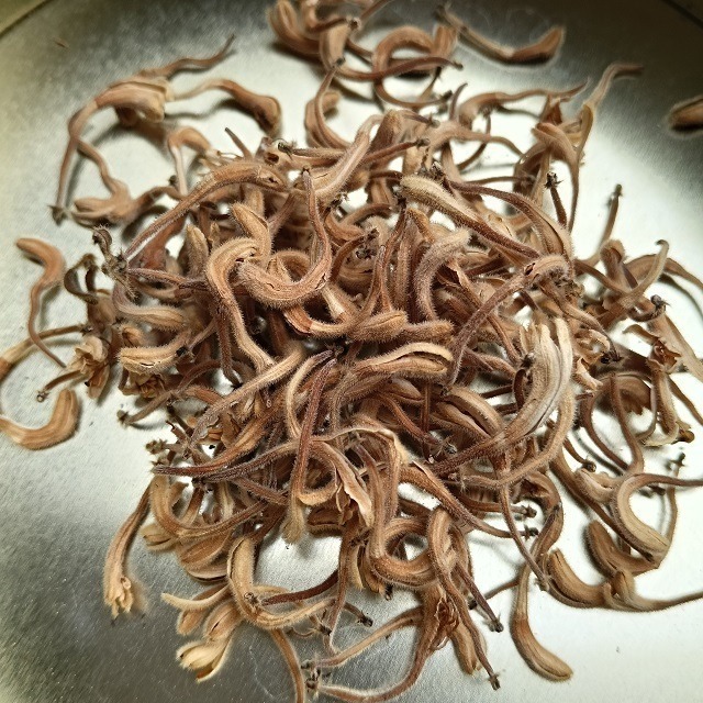 金銀花 忍冬 台灣種植 自採自曬 自然農法 金銀花茶 忍冬茶 退火降燥 乾燥金銀花 花草茶 泡茶 降火 草本茶 植物花草-細節圖7