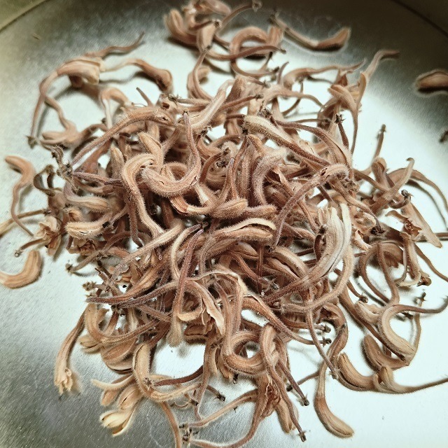 金銀花 忍冬 台灣種植 自採自曬 自然農法 金銀花茶 忍冬茶 退火降燥 乾燥金銀花 花草茶 泡茶 降火 草本茶 植物花草-規格圖7