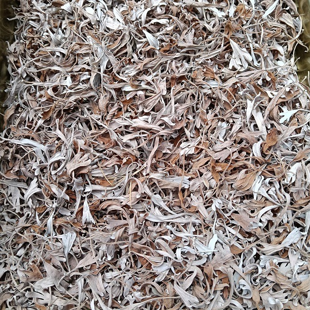 台灣種植 芙蓉枝葉 芙蓉葉 自採自曬 自然農法 家庭必備 蘄艾 芙蓉菊 乾燥芙蓉 芙蓉草 乾芙蓉 避邪 沐浴 泡澡-細節圖4