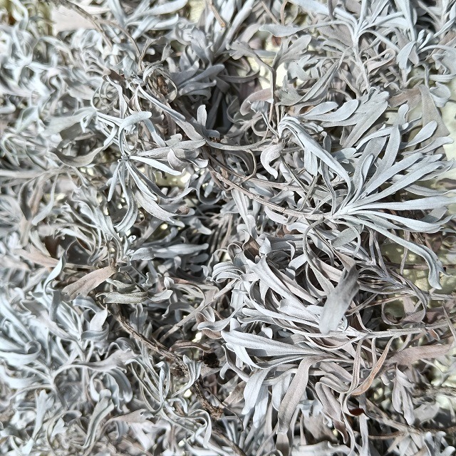 台灣種植 芙蓉枝葉 芙蓉葉 自採自曬 自然農法 家庭必備 蘄艾 芙蓉菊 乾燥芙蓉 芙蓉草 乾芙蓉 避邪 沐浴 泡澡-細節圖5