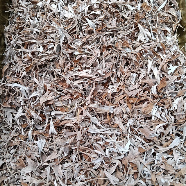 台灣種植 芙蓉枝葉 芙蓉葉 自採自曬 自然農法 家庭必備 蘄艾 芙蓉菊 乾燥芙蓉 芙蓉草 乾芙蓉 避邪 沐浴 泡澡-細節圖4