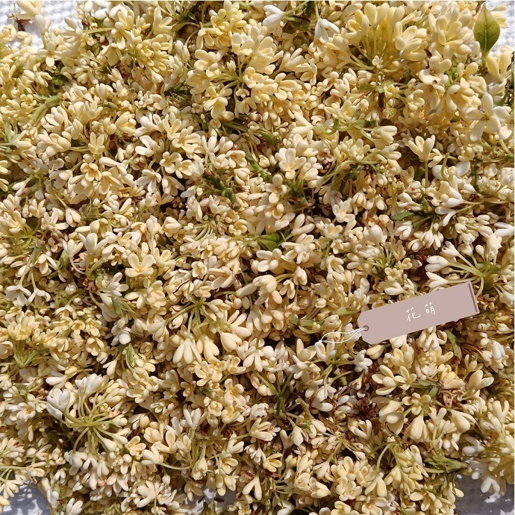 桂花 台灣種植 自採自曬 自然農法 手摘桂花 天然清香 台灣桂花 乾燥桂花 桂花茶 花茶 泡茶 甜點 烘焙 皂用花草-細節圖3