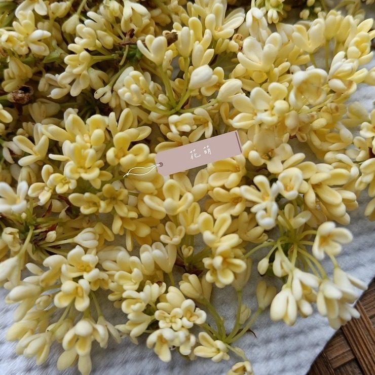 桂花 台灣種植 自採自曬 自然農法 手摘桂花 天然清香 台灣桂花 乾燥桂花 桂花茶 花茶 泡茶 甜點 烘焙 皂用花草-細節圖4