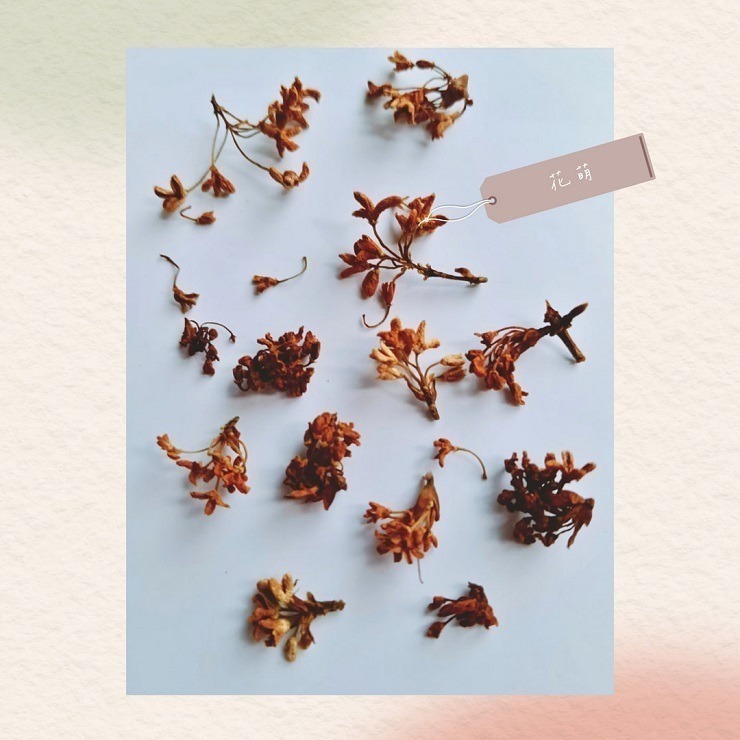 桂花 台灣種植 自採自曬 自然農法 手摘桂花 天然清香 台灣桂花 乾燥桂花 桂花茶 花茶 泡茶 甜點 烘焙 皂用花草-細節圖9