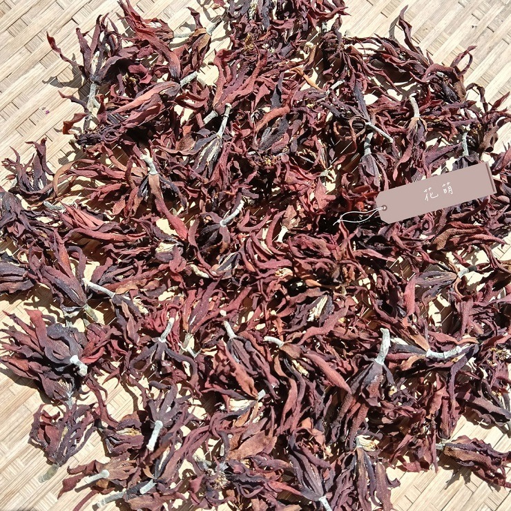 消暑茶飲 玉蘭花 台灣種植 自採自曬 自然農法 手工採摘 乾燥玉蘭花 白玉蘭 花草茶 草本茶 養身茶 泡茶 花茶 風味茶-細節圖7