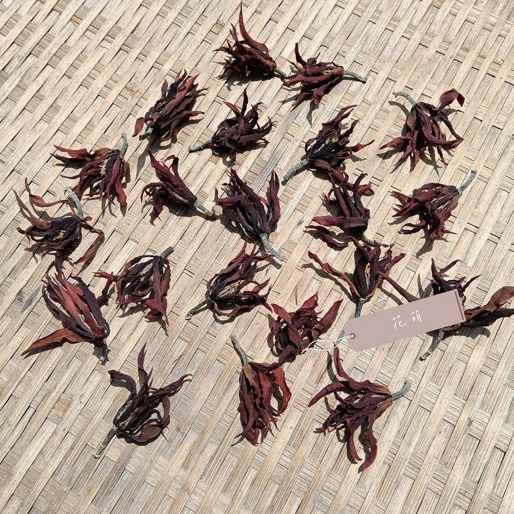 消暑茶飲 玉蘭花 台灣種植 自採自曬 自然農法 手工採摘 乾燥玉蘭花 白玉蘭 花草茶 草本茶 養身茶 泡茶 花茶 風味茶-細節圖8