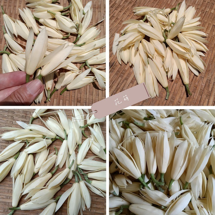 消暑茶飲 玉蘭花 台灣種植 自採自曬 自然農法 手工採摘 乾燥玉蘭花 白玉蘭 花草茶 草本茶 養身茶 泡茶 花茶 風味茶-細節圖2