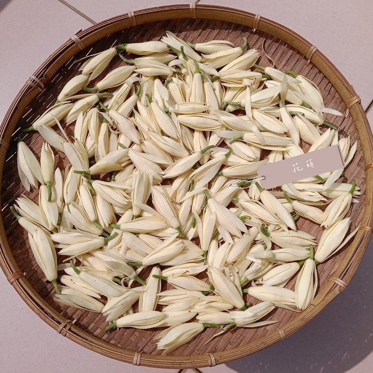 消暑茶飲 玉蘭花 台灣種植 自採自曬 自然農法 手工採摘 乾燥玉蘭花 白玉蘭 花草茶 草本茶 養身茶 泡茶 花茶 風味茶-細節圖5