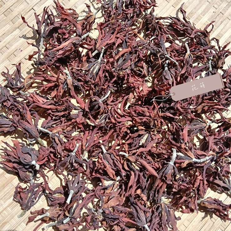 消暑茶飲 玉蘭花 台灣種植 自採自曬 自然農法 手工採摘 乾燥玉蘭花 白玉蘭 花草茶 草本茶 養身茶 泡茶 花茶 風味茶-細節圖7