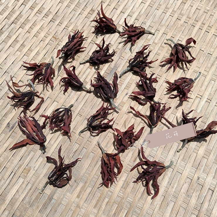 消暑茶飲 玉蘭花 台灣種植 自採自曬 自然農法 手工採摘 乾燥玉蘭花 白玉蘭 花草茶 草本茶 養身茶 泡茶 花茶 風味茶-細節圖8