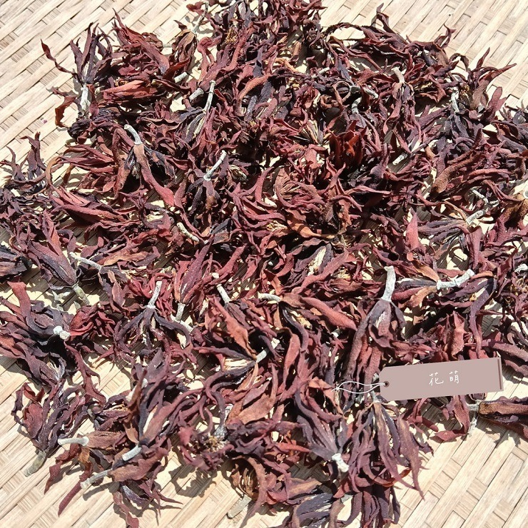 消暑茶飲 玉蘭花 台灣種植 自採自曬 自然農法 手工採摘 乾燥玉蘭花 白玉蘭 花草茶 草本茶 養身茶 泡茶 花茶 風味茶-細節圖9