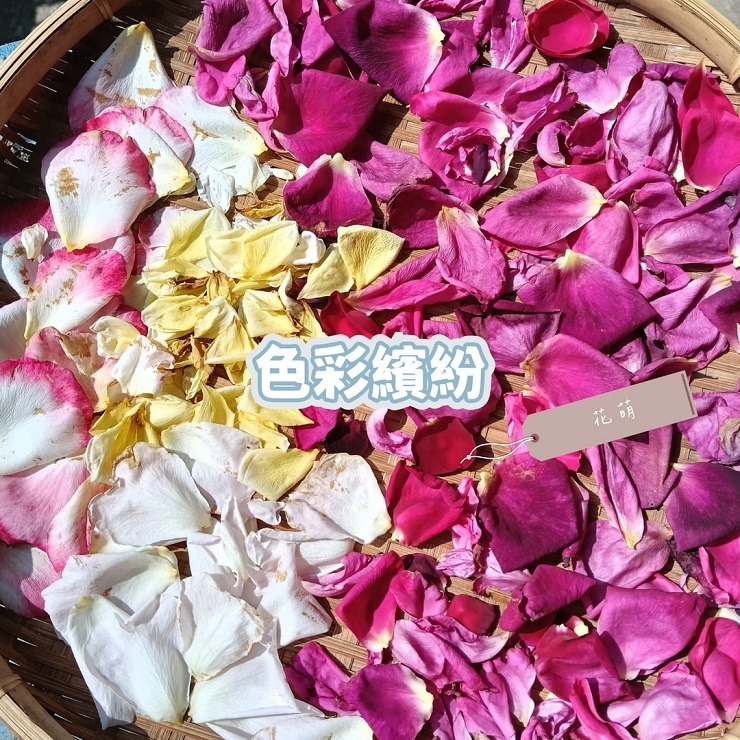玫瑰花瓣 台灣種植 自採自曬 自然農法 甜香濃郁 乾燥玫瑰 泡澡 沐浴 求婚 手工皂 乾燥花瓣 泡澡花瓣 花瓣浴 spa-細節圖5
