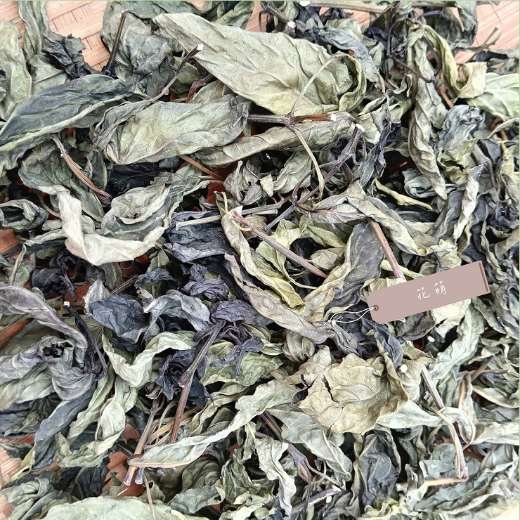 血根草 台灣種植 自種自曬 側生爵床 血根爵床 四物草 植物染 藥用植物 花葉移印染 天然染材 草木染 染料 藥草植物-細節圖8
