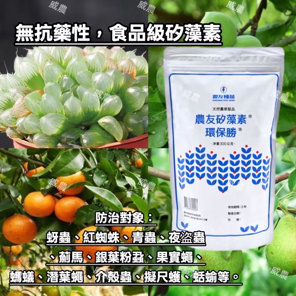 農友矽藻素矽藻土（環保勝）300 公克/包 食品級 非農藥 天然除蟲除菌劑 無抗藥性/矽藻素/100%純矽藻化石製成-細節圖3