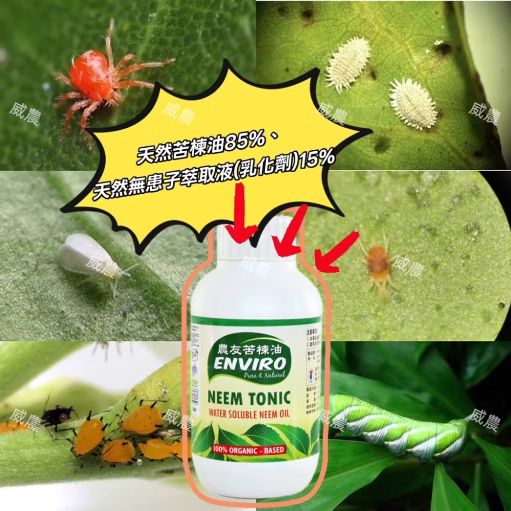 【威農現貨】農友苦楝油250ml防治/苦楝油/蚜蟲、介殼蟲、粉蝨、薊馬、葉螨、紅蜘蛛/觀葉植物/多肉植物/鹿角蕨-細節圖2