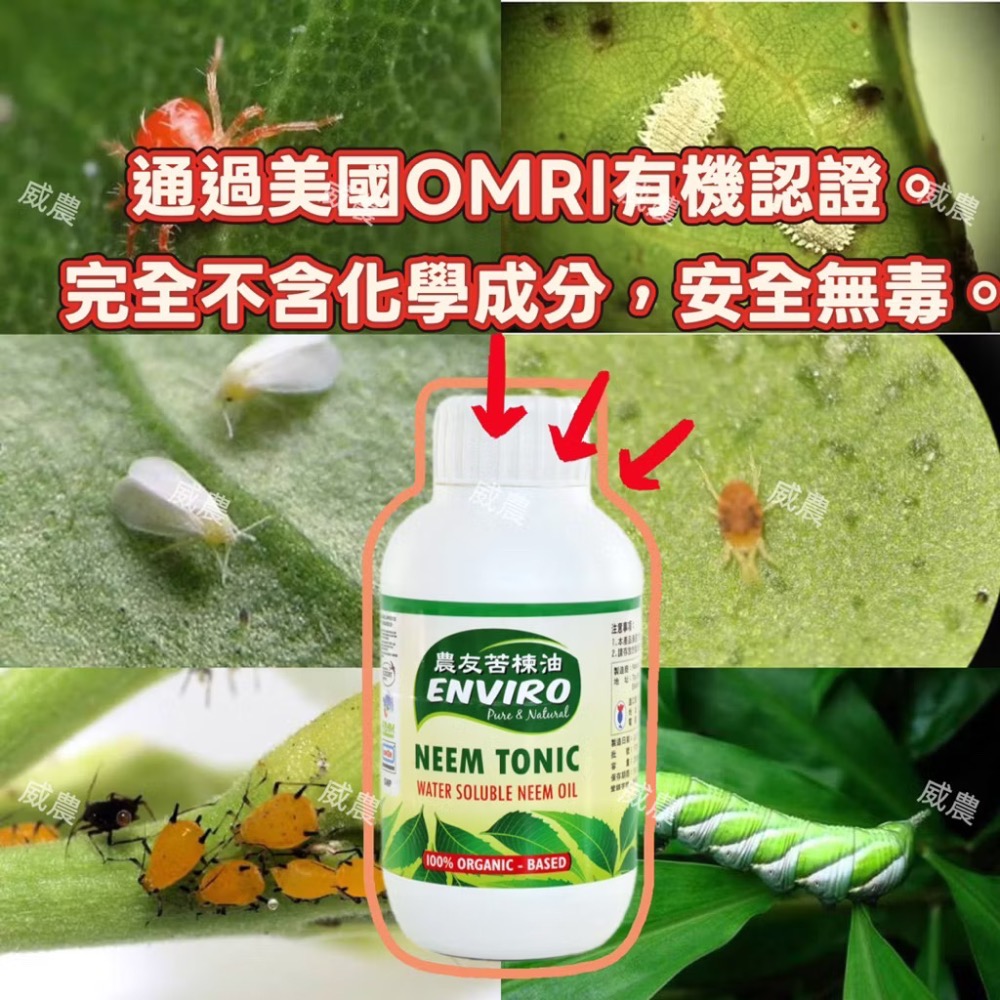 【威農現貨】農友苦楝油250ml防治/苦楝油/蚜蟲、介殼蟲、粉蝨、薊馬、葉螨、紅蜘蛛/觀葉植物/多肉植物/鹿角蕨-細節圖4