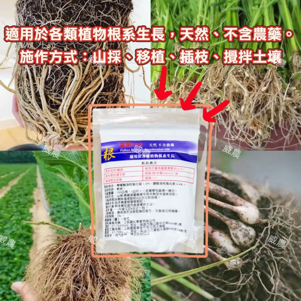 富寶100開根粉（粉劑）150g 發根 開根/催芽活化 仟插 壓條攪拌土壤 非農藥育苗/多肉植物/開根肥/塊根/觀葉植物-細節圖2