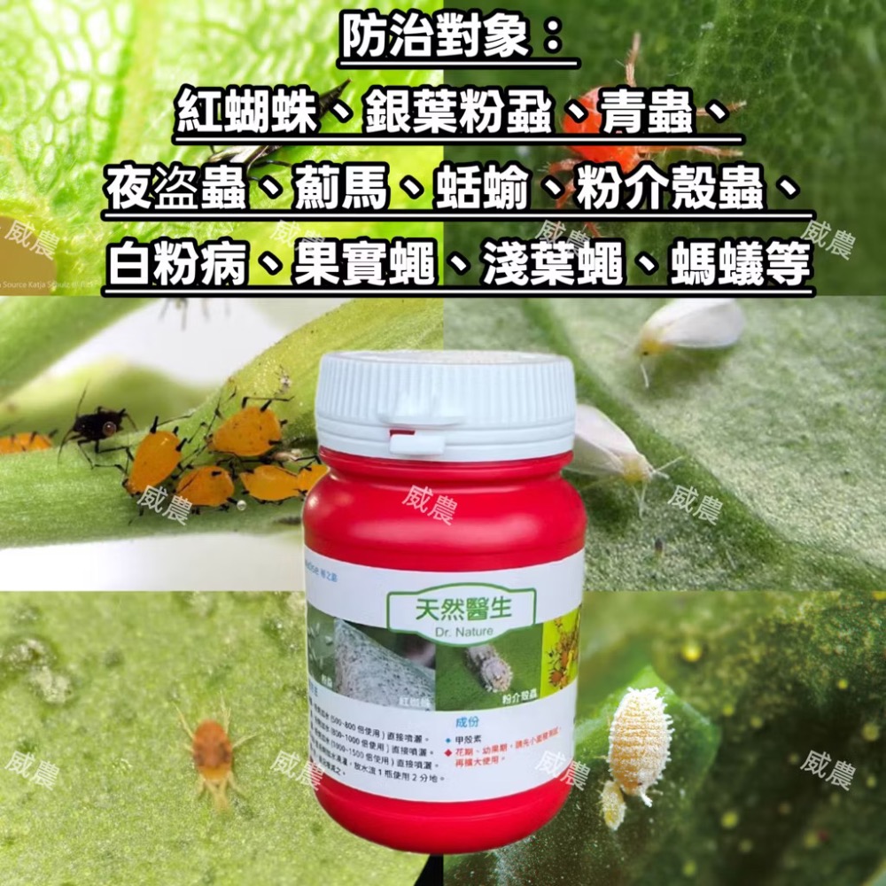 【威農現貨供應】天然醫生 1公斤 /紅蜘蛛 介殼蟲螞蟻蟑螂 薊馬 蚜蟲紋蟲除蟲殺蟲殺菌 皂素甲殼素/威農/白粉病/露菌病-細節圖2