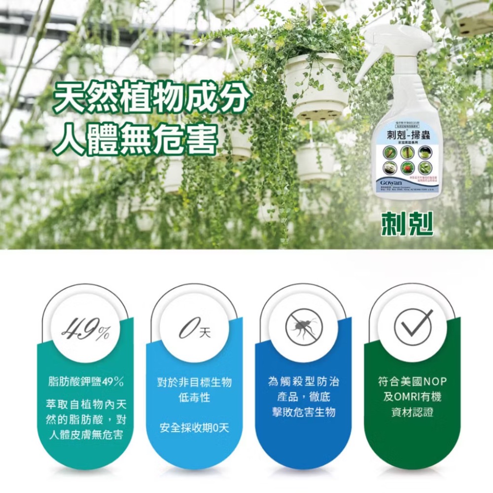 【威農現貨供應】刺剋-掃蟲殺菌500ml/植物性農皂/介殼蟲蚜蟲紅蜘蛛白粉病/ 脂肪酸鉀鹽49%/多肉值物免稀釋觀葉植物-細節圖5