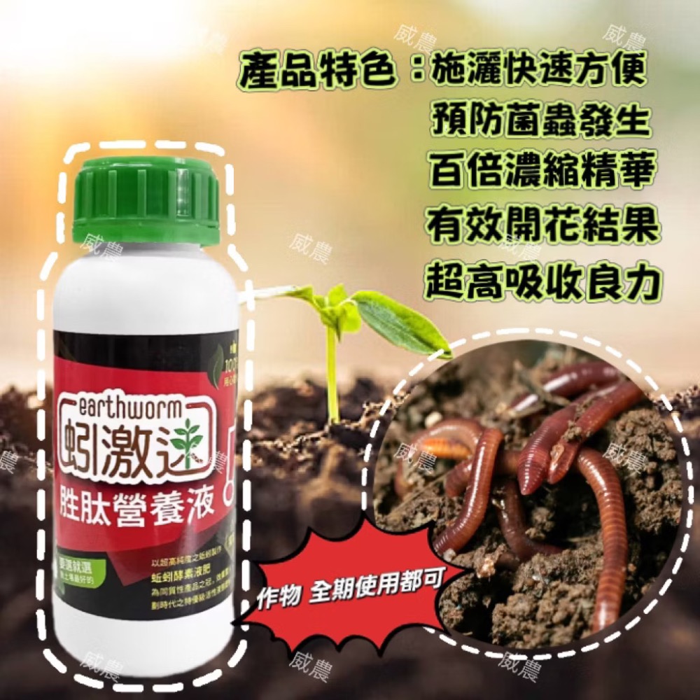 蚓激速-胜肽營養液500ml/蚓激速液蚯蚓液態有機質肥料 液態肥 蚓激速/ 追肥果樹茶葉蔬果/多肉觀葉植物/蚓糞肥-細節圖2