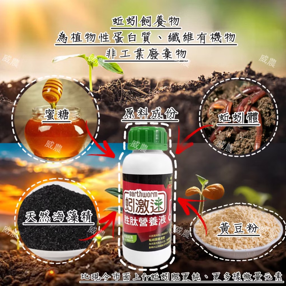 蚓激速-胜肽營養液500ml/蚓激速液蚯蚓液態有機質肥料 液態肥 蚓激速/ 追肥果樹茶葉蔬果/多肉觀葉植物/蚓糞肥-細節圖4