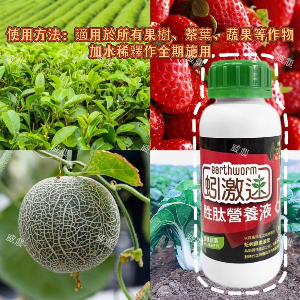 蚓激速-胜肽營養液500ml/蚓激速液蚯蚓液態有機質肥料 液態肥 蚓激速/ 追肥果樹茶葉蔬果/多肉觀葉植物/蚓糞肥-細節圖5