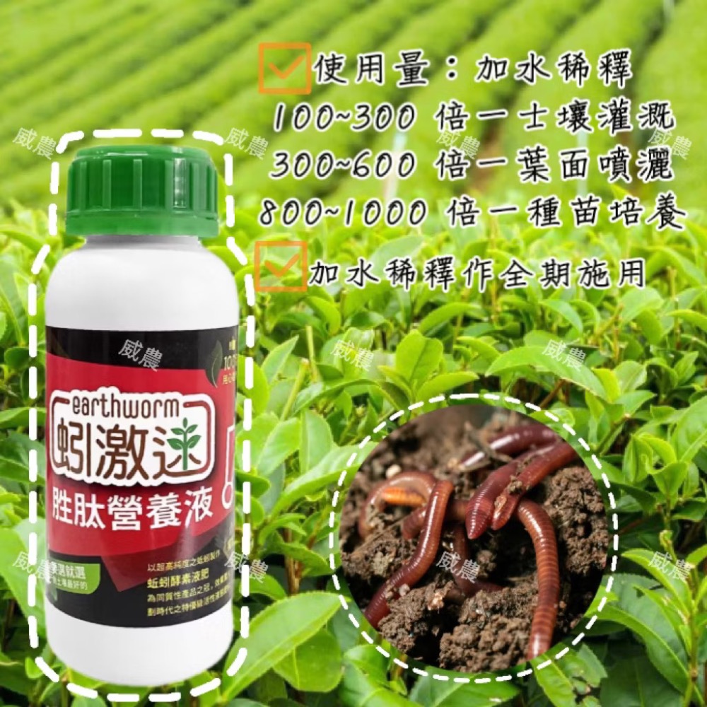 蚓激速-胜肽營養液500ml/蚓激速液蚯蚓液態有機質肥料 液態肥 蚓激速/ 追肥果樹茶葉蔬果/多肉觀葉植物/蚓糞肥-細節圖6