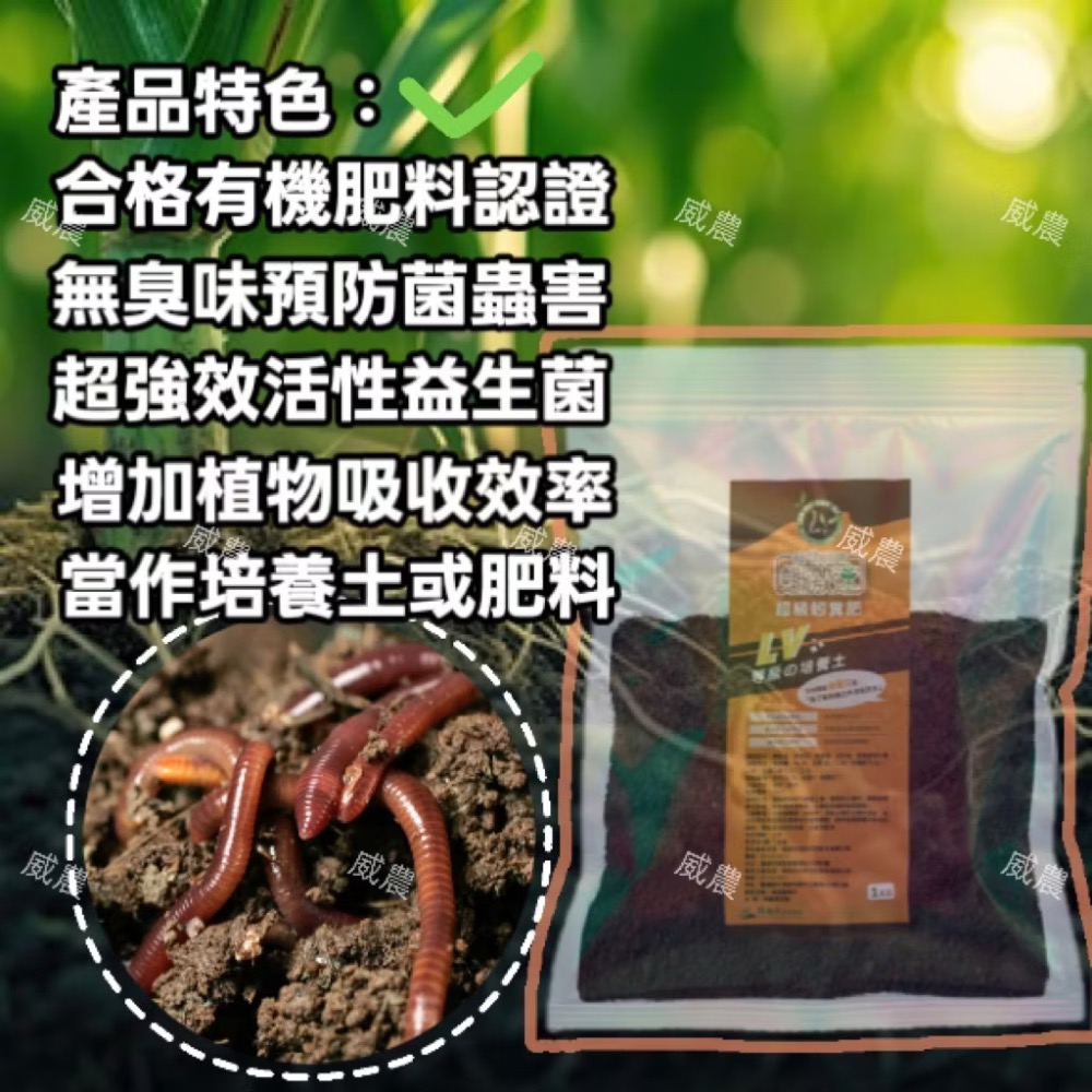 超級蚓糞肥 1公斤/蚓激速  純蚯蚓糞肥 蚯蚓糞蚯蚓土蚯蚓糞肥基肥堆肥 無土栽培花卉植物/追肥全期施作/ 不臭不長蟲-細節圖2