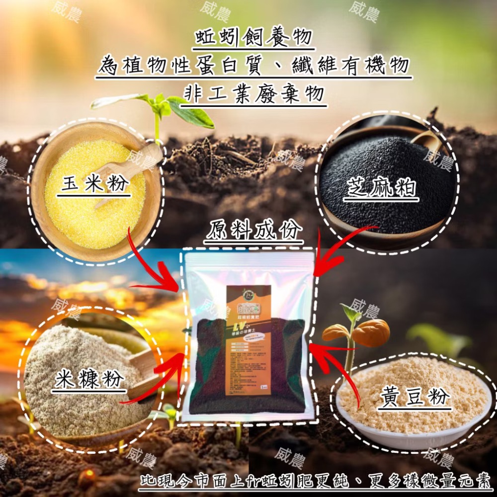 超級蚓糞肥 1公斤/蚓激速  純蚯蚓糞肥 蚯蚓糞蚯蚓土蚯蚓糞肥基肥堆肥 無土栽培花卉植物/追肥全期施作/ 不臭不長蟲-細節圖4