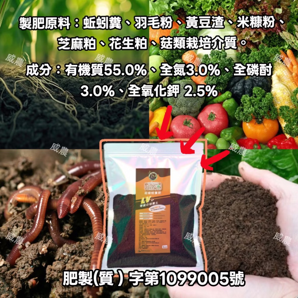 超級蚓糞肥 1公斤/蚓激速  純蚯蚓糞肥 蚯蚓糞蚯蚓土蚯蚓糞肥基肥堆肥 無土栽培花卉植物/追肥全期施作/ 不臭不長蟲-細節圖6
