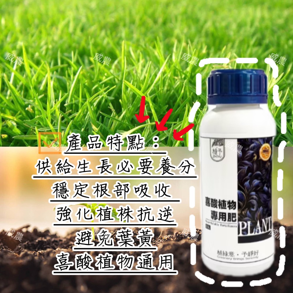 喜酸植物專用肥（500ml）/酸性專用 肥杜鵑花繡球花藍莓梔子花山茶花肥料營養液-細節圖2