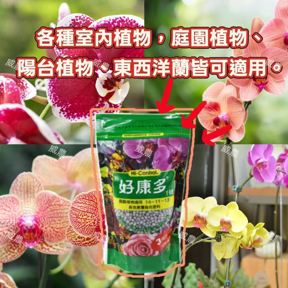 好康多一號園藝植物通用350G 肥料/多肉植物/仙人掌/塊根/塊莖/觀葉 植物/室內植物/園蓺-細節圖3