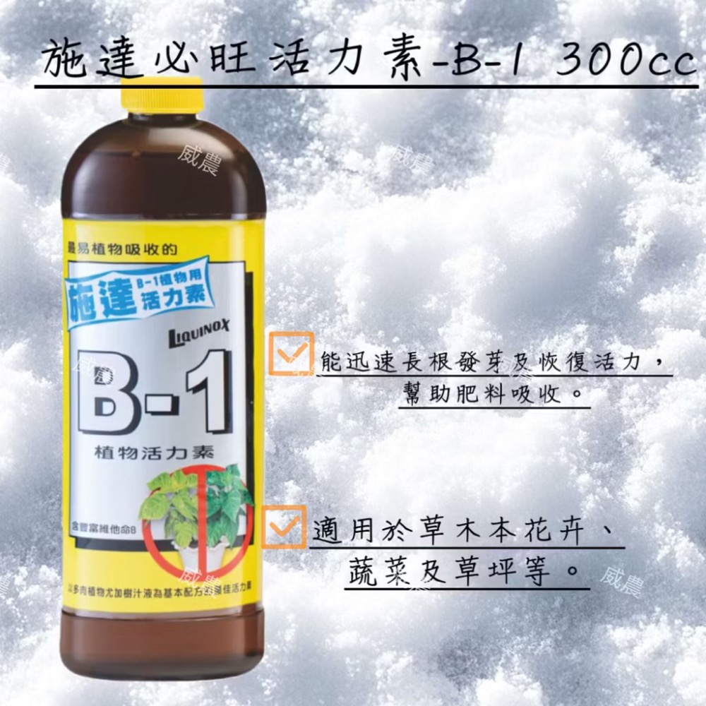 施達必旺活力素-B-1 300ml 多 肉植物/肥料/控釋 /施肥/介質/多肉植物/蘭花-細節圖5