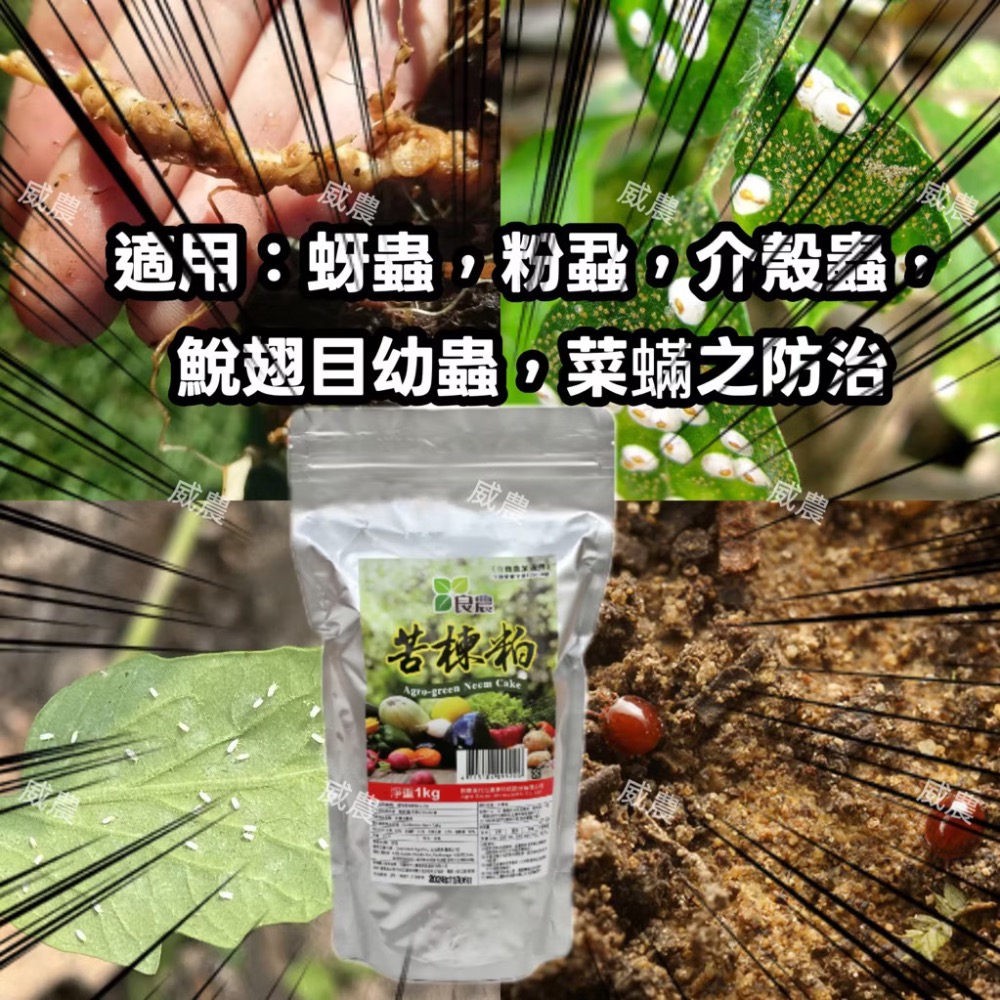 苦楝粕 (1kg)/良農有機認證/印度苦楝粕 基肥驅蟲(線蟲/黃條葉蚤）水稻蔬菜草莓土壤養護 苦楝油副產品/多肉植物觀葉-細節圖3