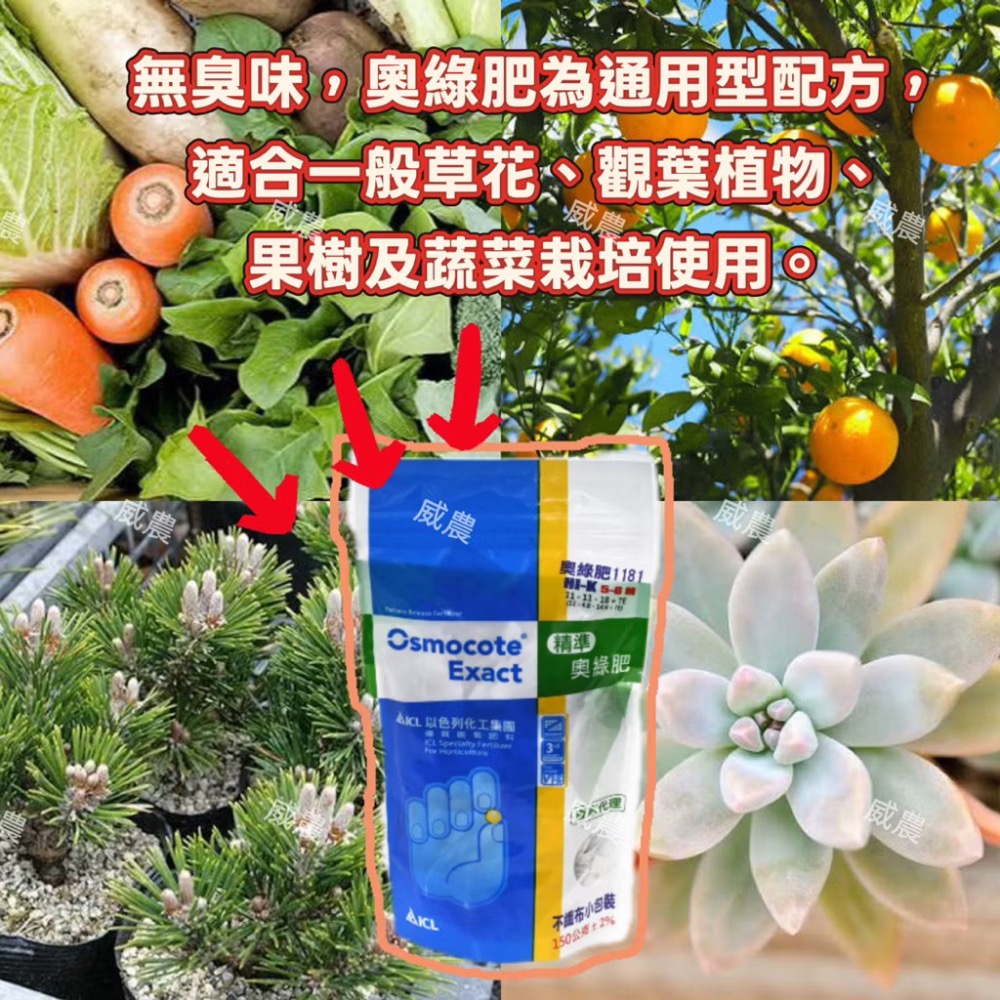 奧綠肥1181(8-9M)150g【全效奧綠肥】不織布小包裝/奥妙肥/全效肥/多肉植物/觀葉植物/塊根/龍舌蘭肥料/植栽-細節圖2