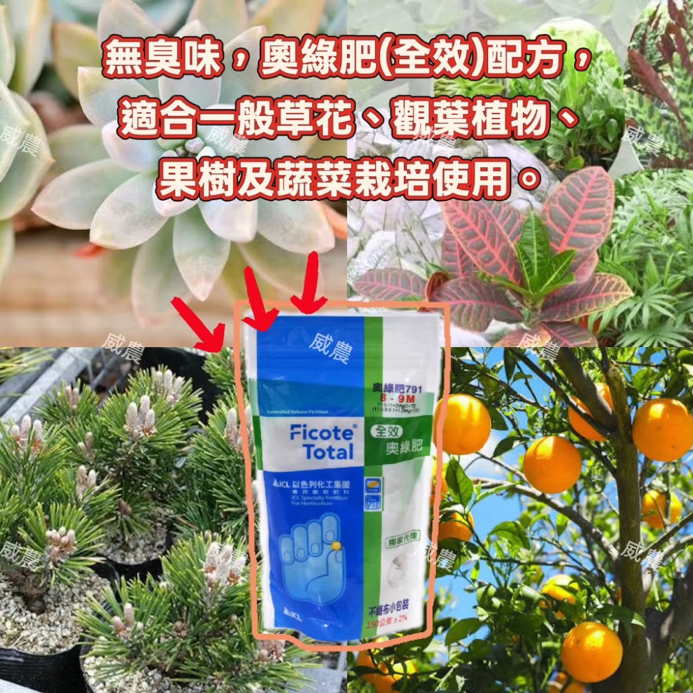 奧綠肥791(8-9M)150g/【全效奧綠肥】不織布小包裝/奥妙肥/全效肥/多肉植物/觀葉植物/塊根/龍舌蘭肥料/植栽-細節圖2