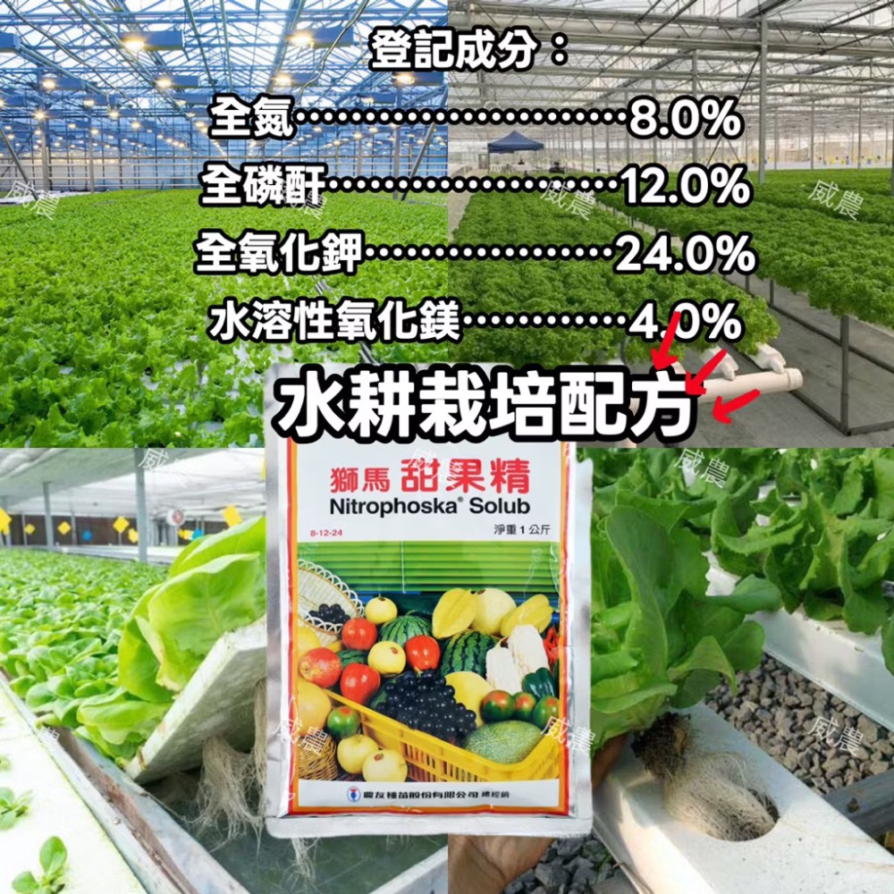 獅馬 甜果精1公斤/ 水耕完全配方/提高土壤肥力 |肥料|結果肥 肥效快速 /開花前後使用/瓜果用|園藝植物-細節圖2