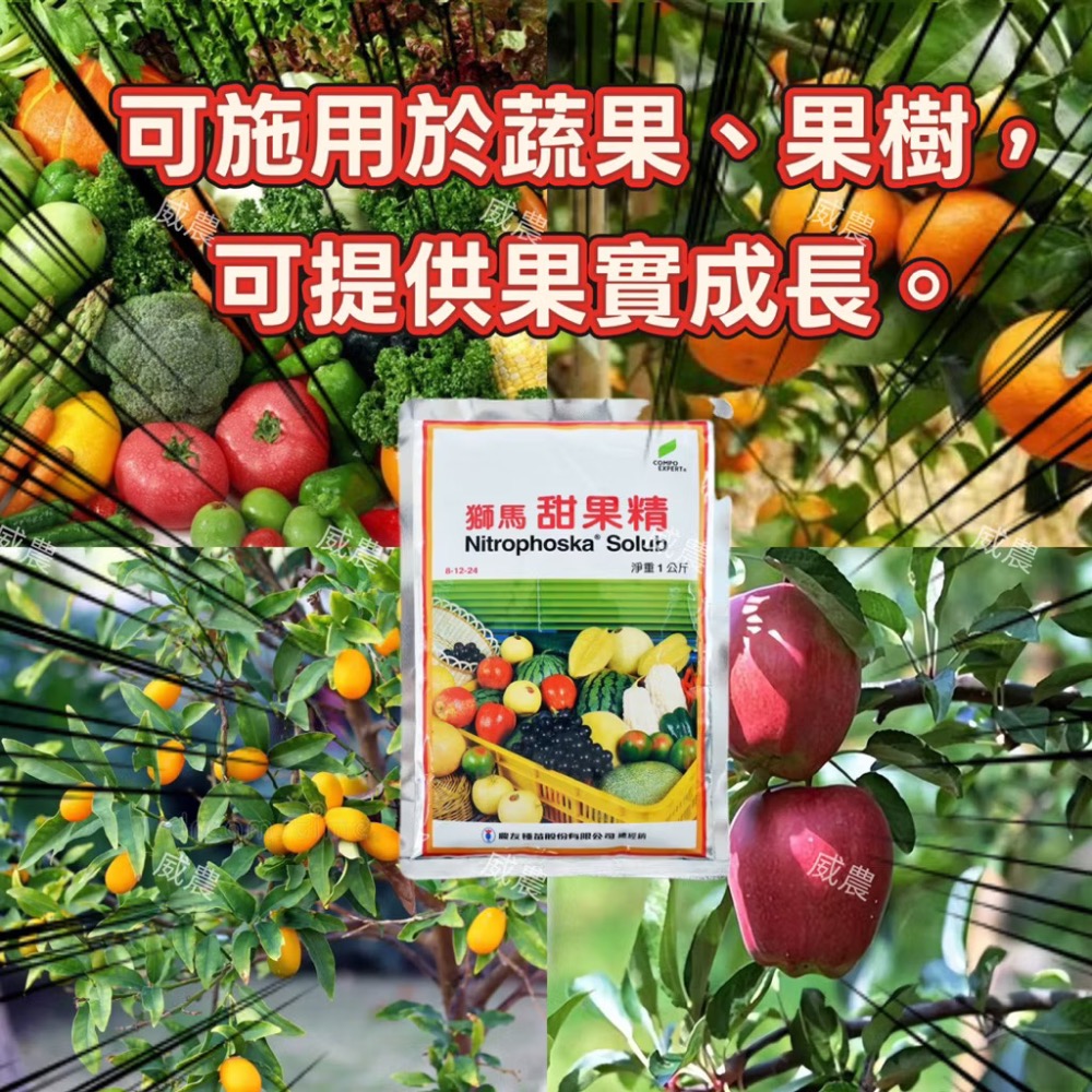 獅馬 甜果精1公斤/ 水耕完全配方/提高土壤肥力 |肥料|結果肥 肥效快速 /開花前後使用/瓜果用|園藝植物-細節圖3