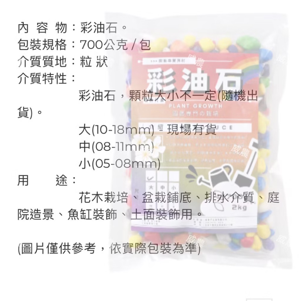 彩油石700g/水族造景用/彩油石 彩色石頭好運石 用於園藝裝飾 亦可置於水 族箱內 不退色 五彩繽紛造景石頭/多肉植物-細節圖2