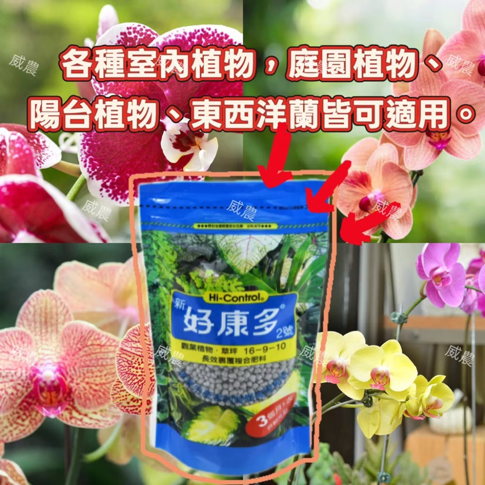 好康多二號觀葉植物用350G 多 肉植物/肥料/控釋 /施肥/介質/多肉植物/蘭花-細節圖2