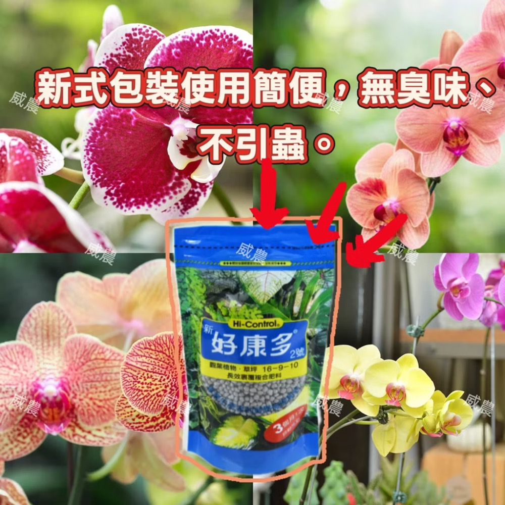 好康多二號觀葉植物用350G 多 肉植物/肥料/控釋 /施肥/介質/多肉植物/蘭花-細節圖3