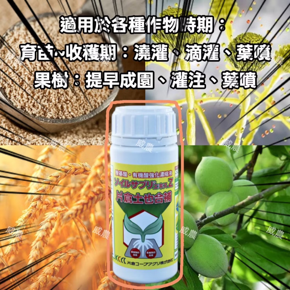片倉土也合補 Soil Supli-ekisu Z (250ml)/開根增加土壤肥力/花卉園藝瓜果葉菜果樹/胺基酸營養劑-細節圖2