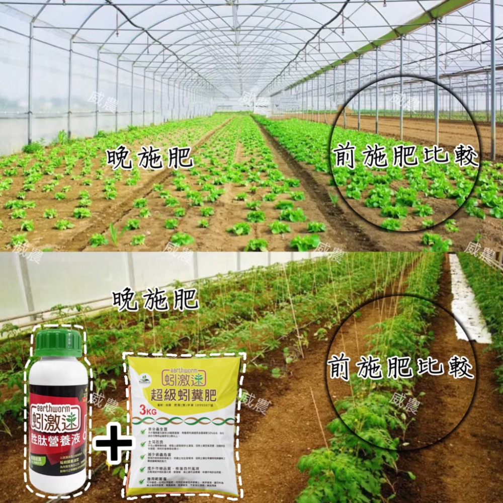 蚓激速-超級蚓糞肥 3公斤裝蚓糞有機蚓糞肥蚯蚓 蚯蚓土蚯蚓糞肥 蚯蚓堆肥 園藝用肥花卉植物/ 追肥全期施作/ 不臭不長蟲-細節圖4